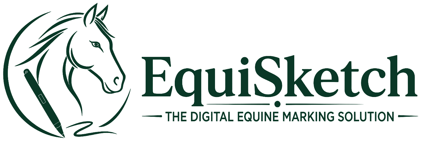 EquiSketch